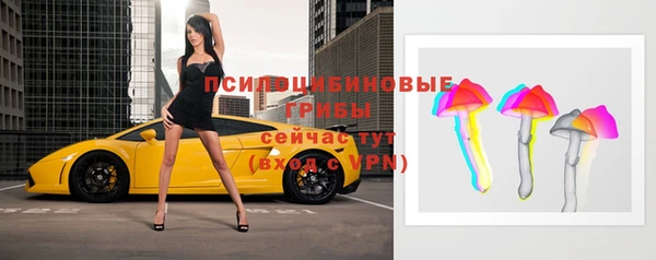 молекула духа Горнозаводск