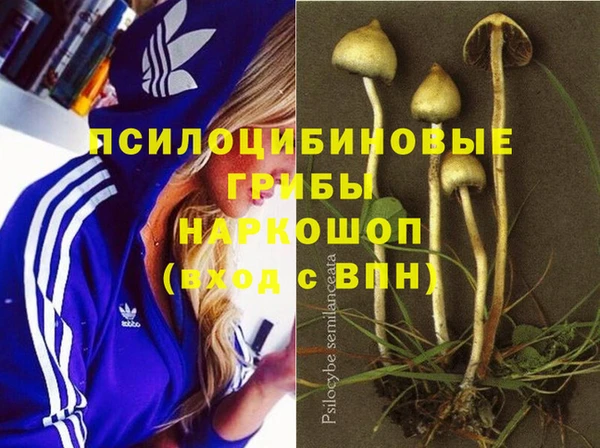 мяу мяу мука Горняк
