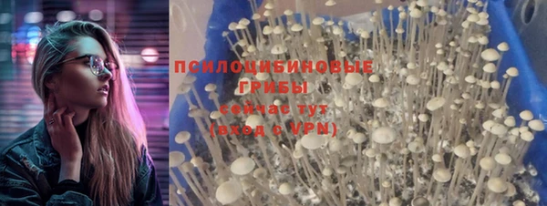 молекула духа Горнозаводск