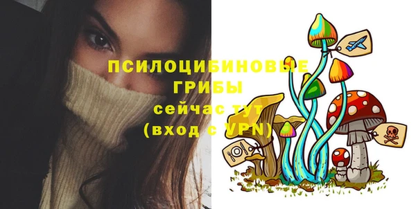 мяу мяу мука Горняк