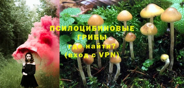 мяу мяу мука Горняк